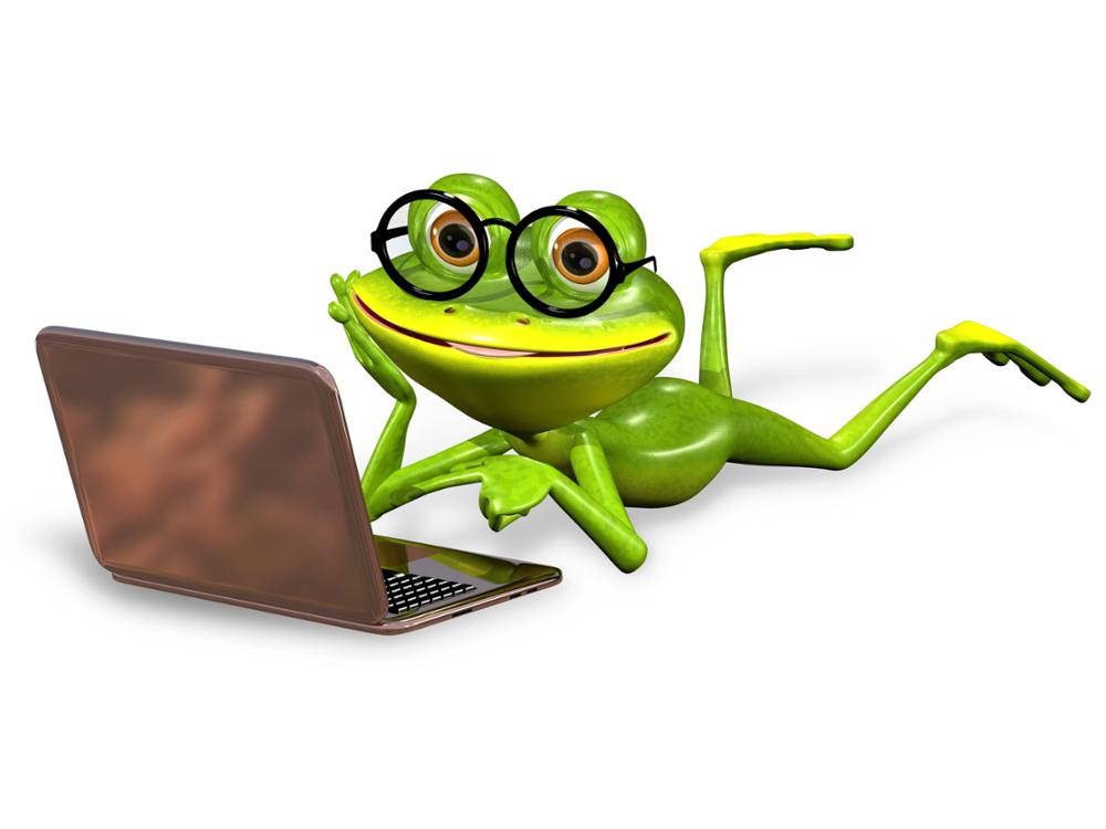 Green frog with laptop